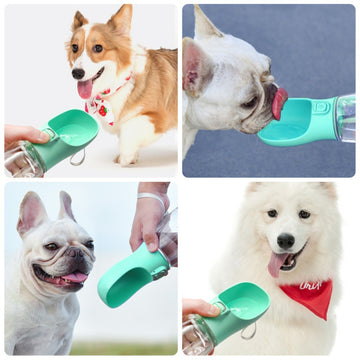 Dog Feeding Water Bottle